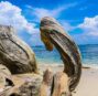 Pantai Karang Pandan : Lokasi, Spot Foto dan Harga Tiket Masuk